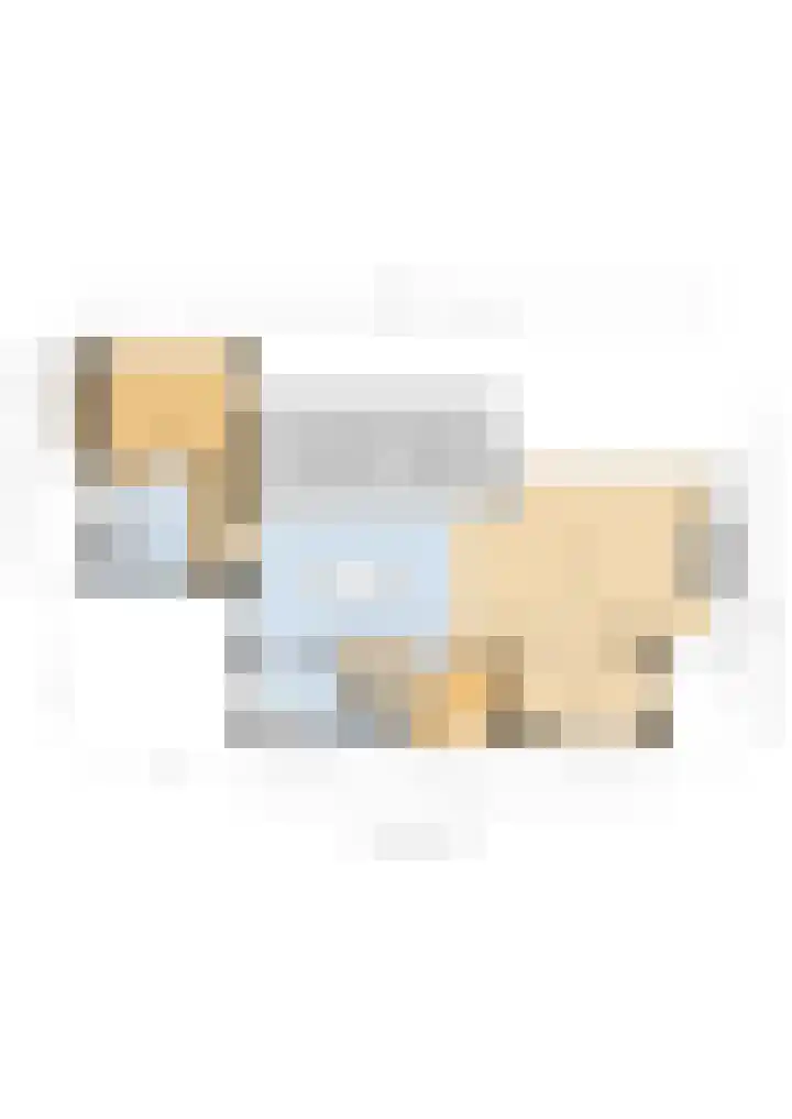 Grooteakker 20 Veghel thumbnail 49