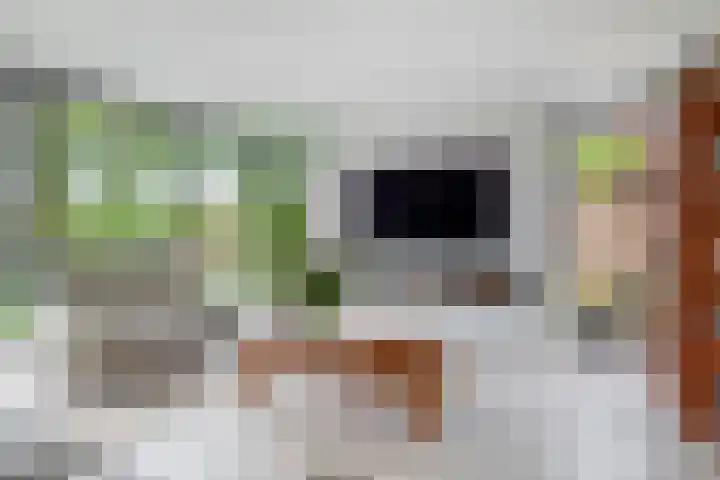 Grooteakker 20 Veghel thumbnail 5