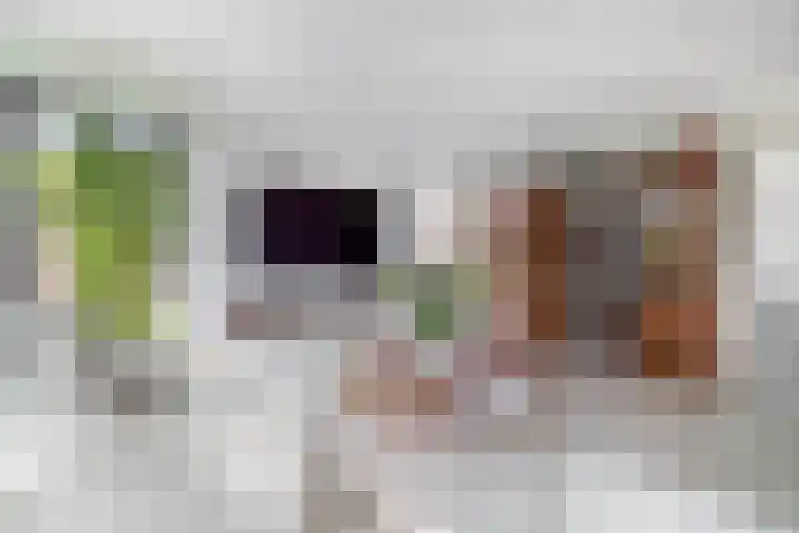 Grooteakker 20 Veghel thumbnail 6
