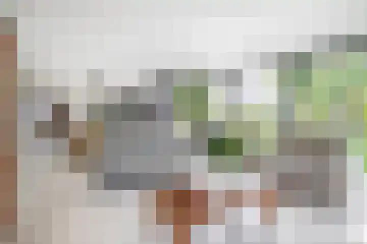 Grooteakker 20 Veghel thumbnail 7