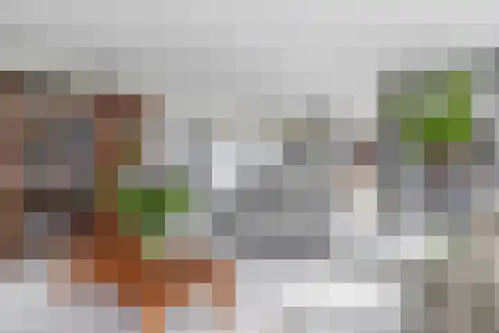 Grooteakker 20 Veghel thumbnail 8