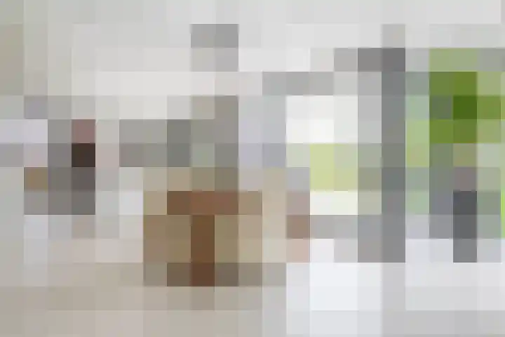 Grooteakker 20 Veghel thumbnail 9