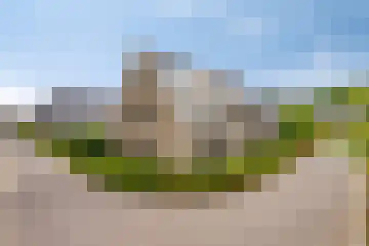 Grooteakker 9 Veghel thumbnail 11