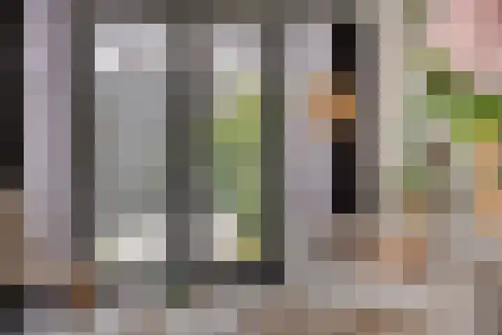 Grooteakker 9 Veghel thumbnail 18