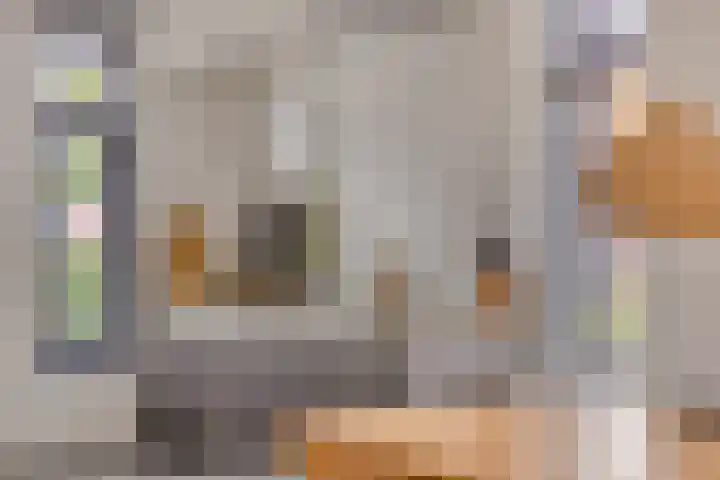 Grooteakker 9 Veghel thumbnail 19