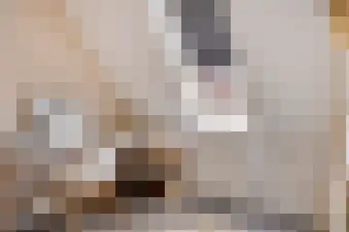 Grooteakker 9 Veghel thumbnail 22