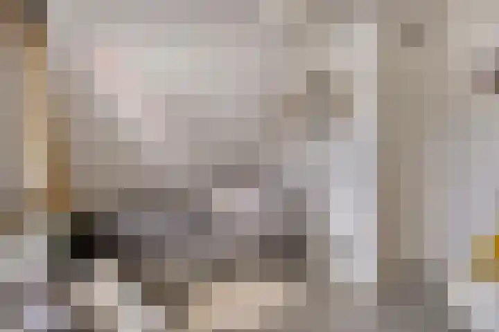 Grooteakker 9 Veghel thumbnail 24