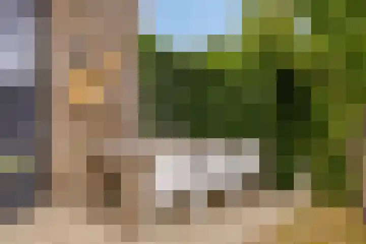 Grooteakker 9 Veghel thumbnail 27