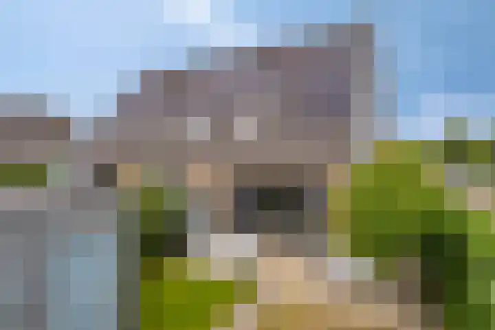 Grooteakker 9 Veghel thumbnail 29