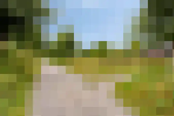 Grooteakker 9 Veghel thumbnail 30