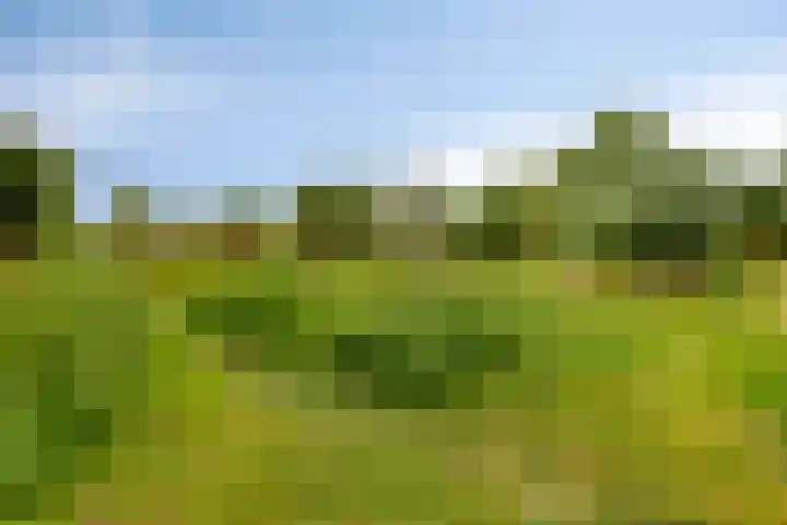 Grooteakker 9 Veghel thumbnail 31