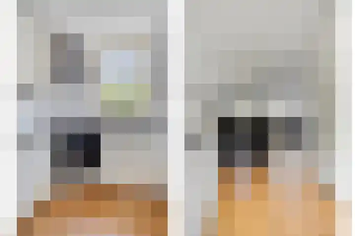 Grooten Sloot 11 Bergschenhoek thumbnail 10
