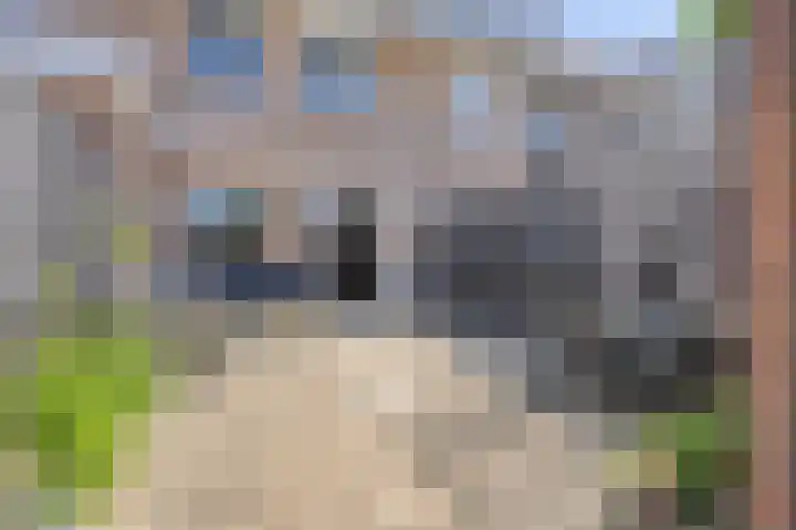 Grooten Sloot 11 Bergschenhoek thumbnail 13