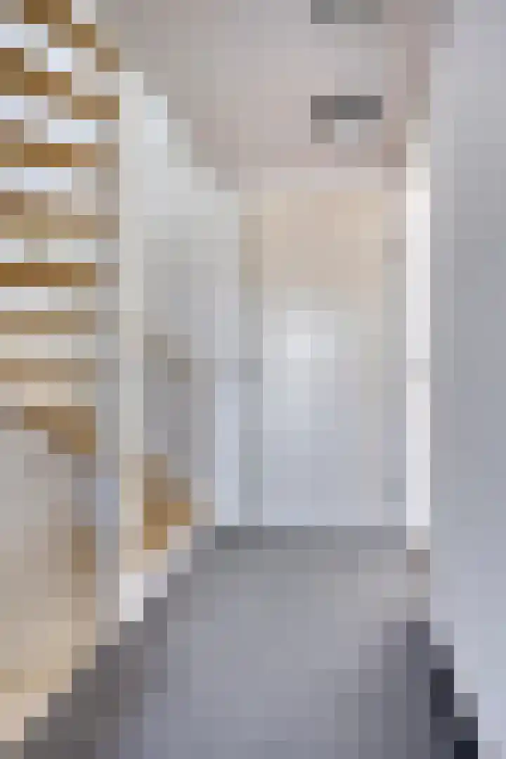 Grooten Sloot 11 Bergschenhoek thumbnail 15