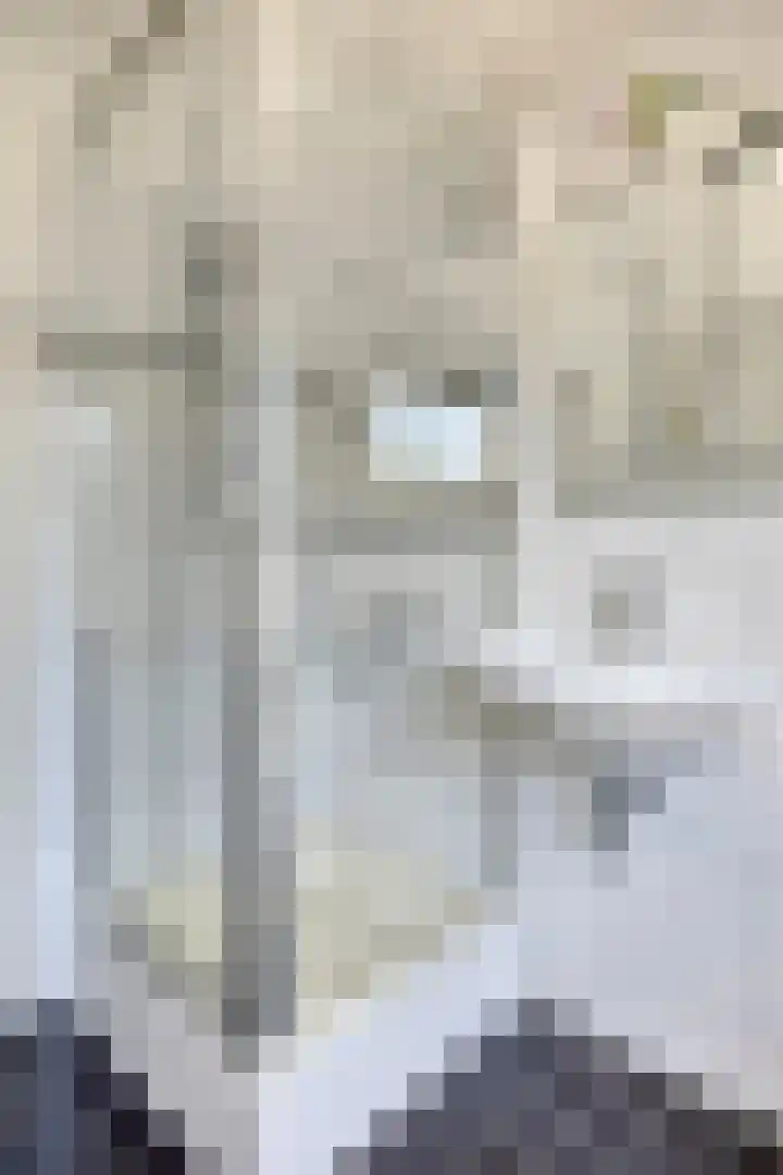 Grooten Sloot 11 Bergschenhoek thumbnail 19