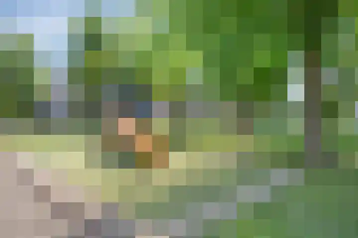 Grooten Sloot 11 Bergschenhoek thumbnail 28