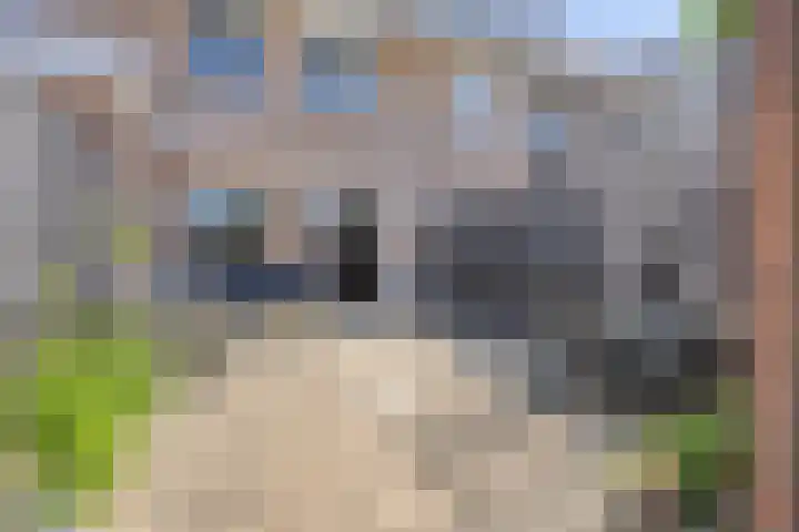 Grooten Sloot 11 Bergschenhoek foto 3