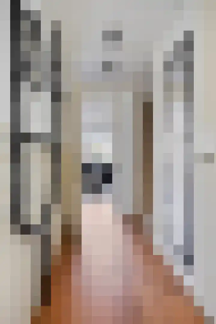 Grooten Sloot 11 Bergschenhoek thumbnail 5