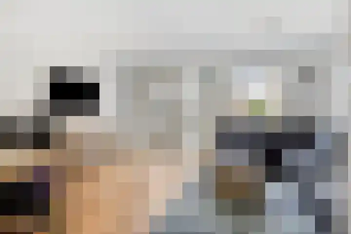 Grooten Sloot 11 Bergschenhoek thumbnail 6
