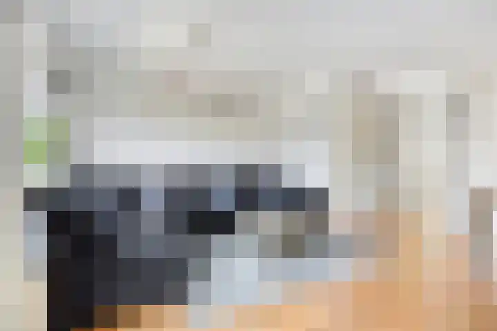 Grooten Sloot 11 Bergschenhoek thumbnail 7