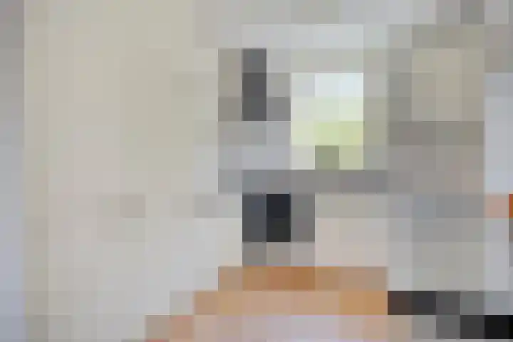 Grooten Sloot 11 Bergschenhoek thumbnail 8