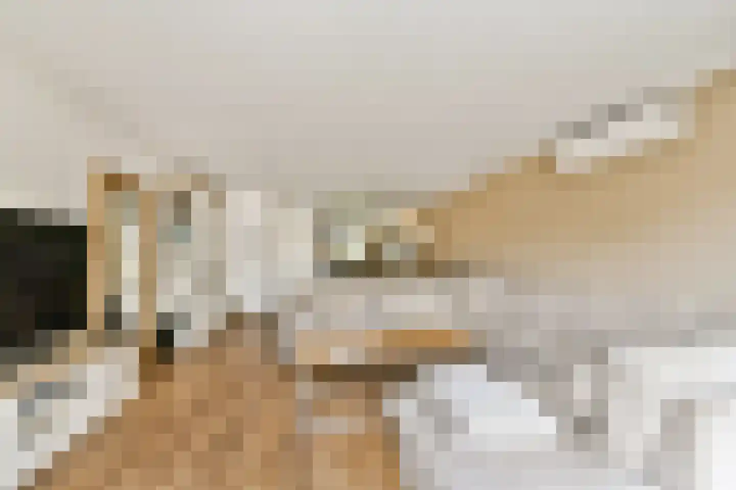 Grooten Sloot 12 Bergschenhoek thumbnail 10