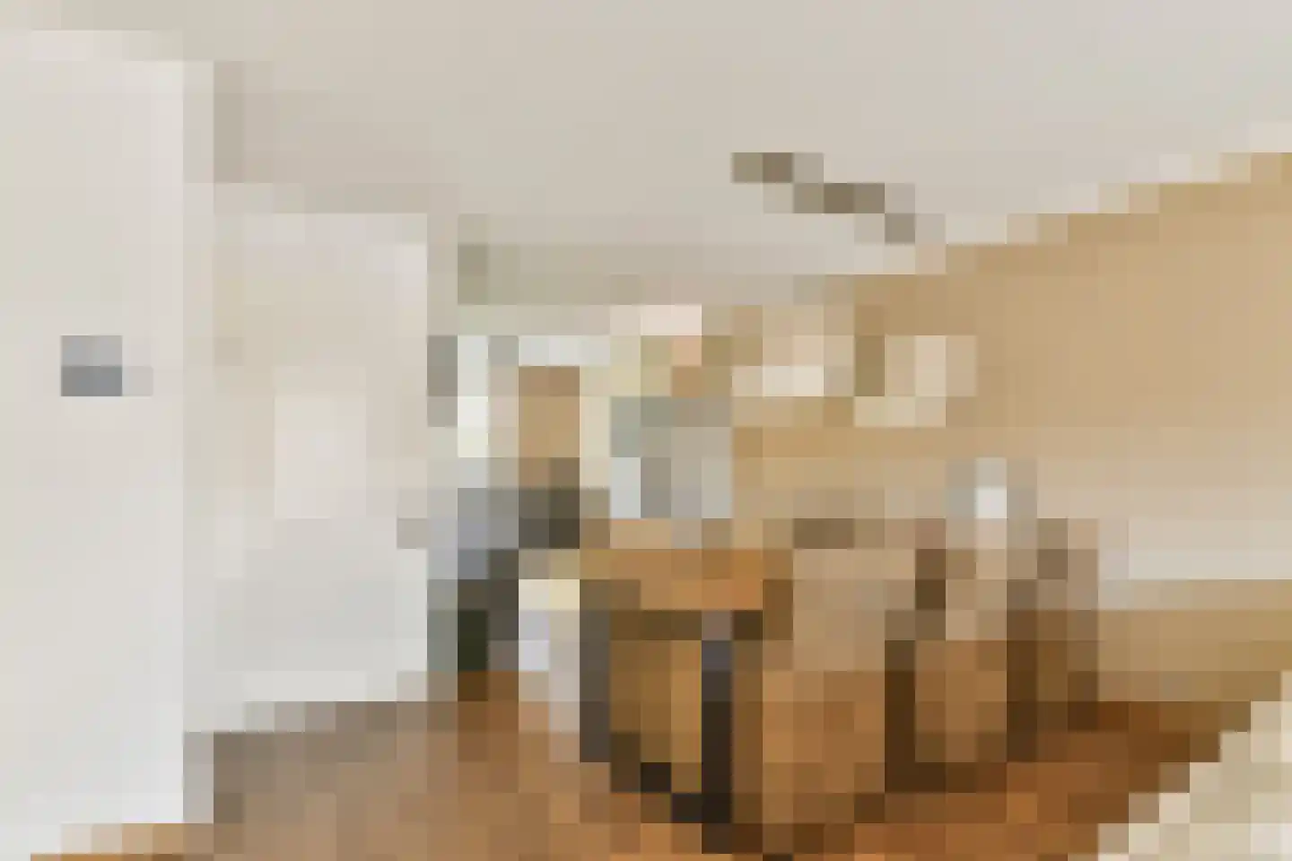 Grooten Sloot 12 Bergschenhoek thumbnail 11