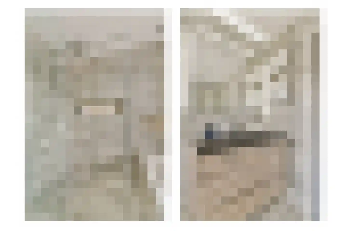 Grooten Sloot 12 Bergschenhoek thumbnail 23