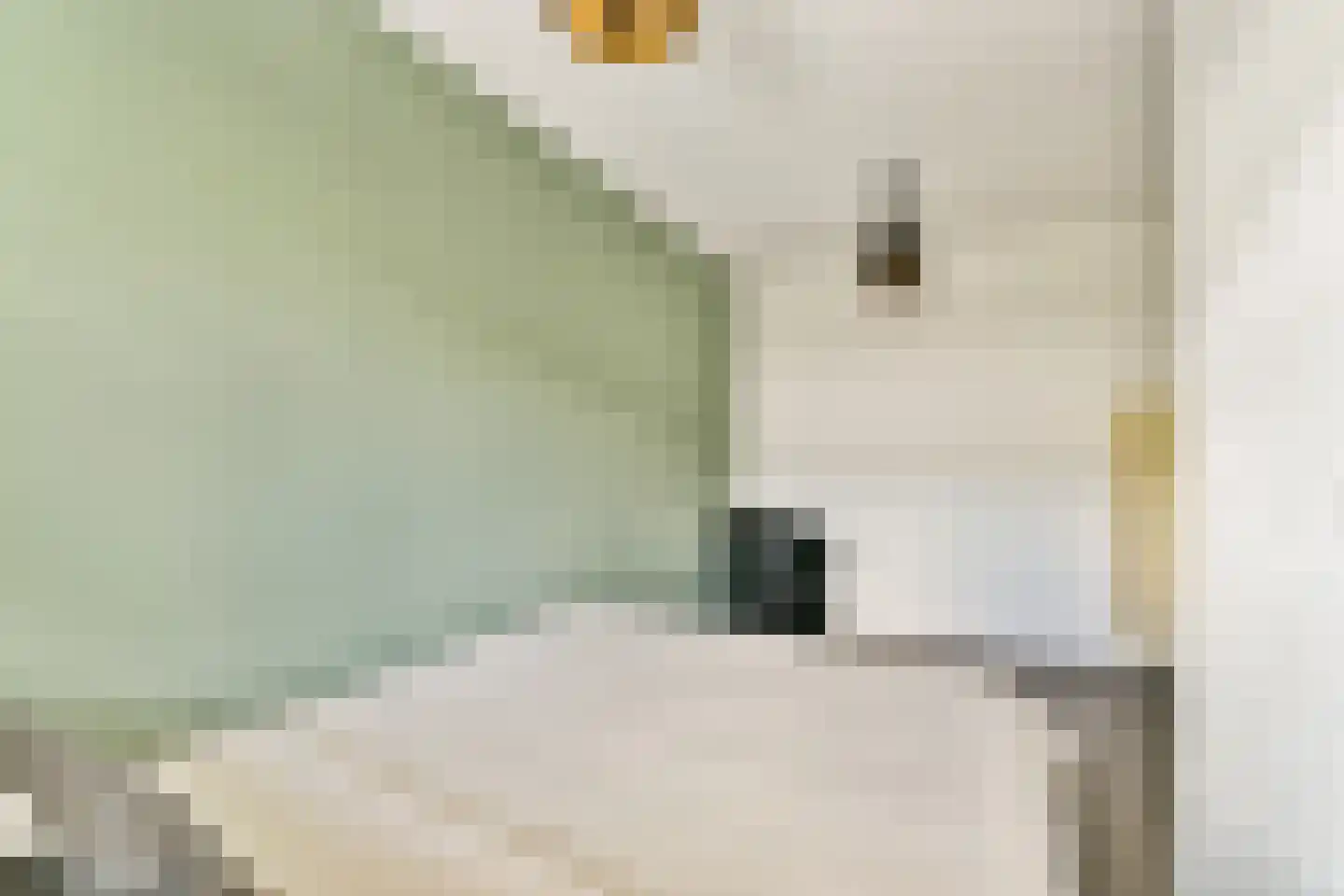 Grooten Sloot 12 Bergschenhoek thumbnail 27