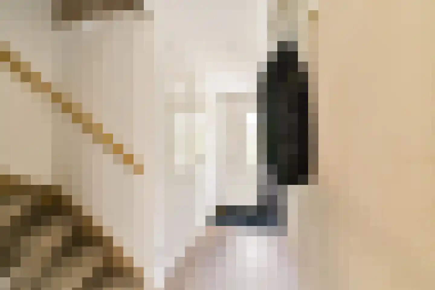 Grooten Sloot 12 Bergschenhoek thumbnail 7