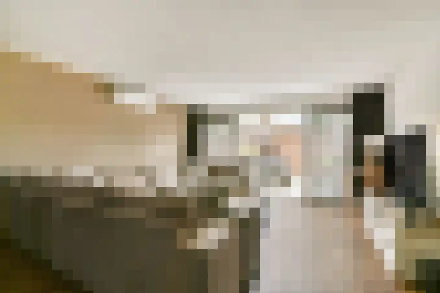 Grooten Sloot 12 Bergschenhoek thumbnail 9
