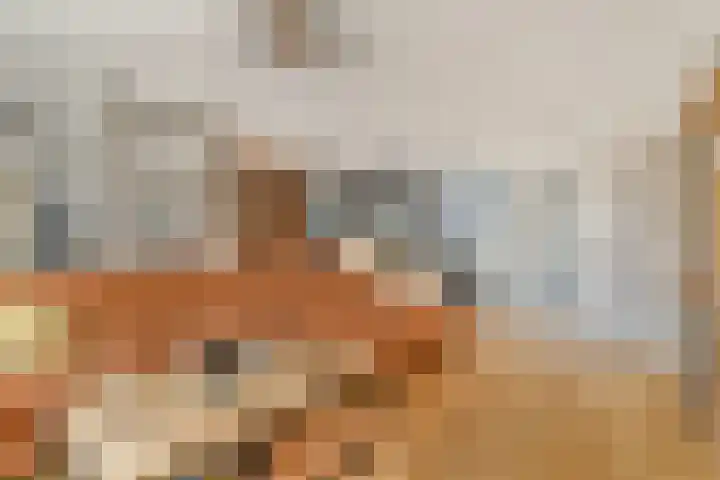 Grooten Sloot 17 Bergschenhoek thumbnail 11