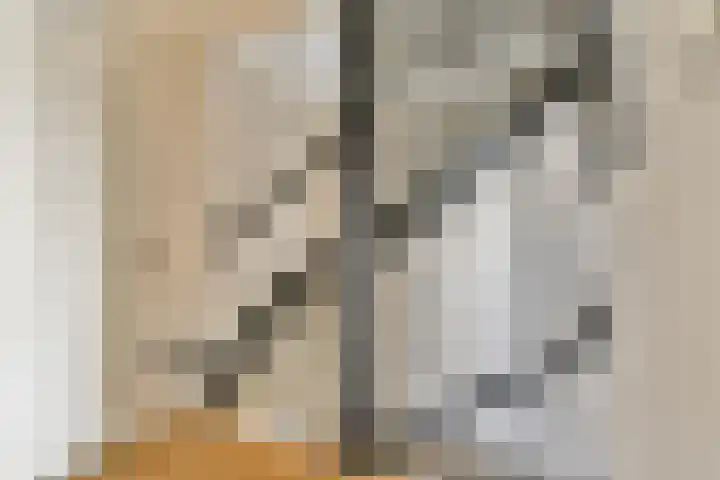 Grooten Sloot 17 Bergschenhoek thumbnail 12