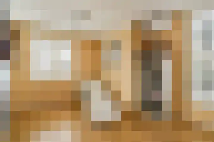 Grooten Sloot 17 Bergschenhoek thumbnail 13