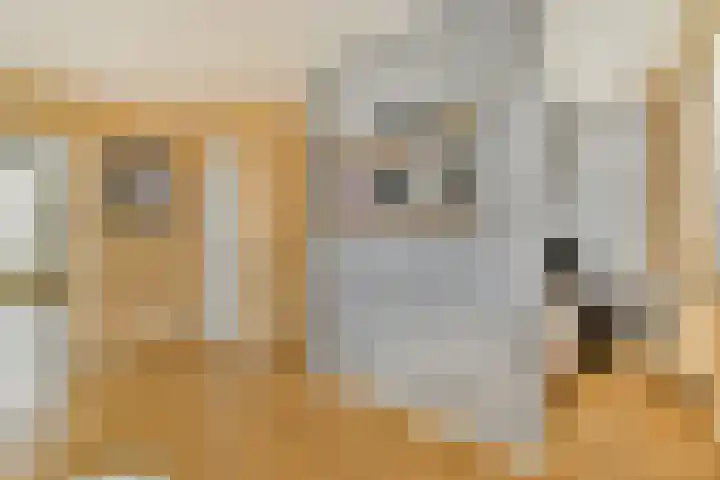 Grooten Sloot 17 Bergschenhoek thumbnail 14