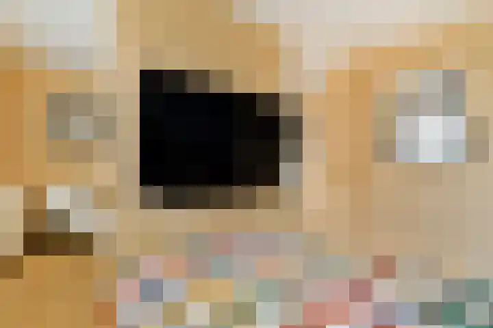 Grooten Sloot 17 Bergschenhoek thumbnail 15