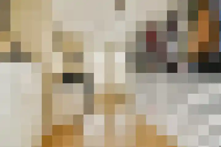 Grooten Sloot 17 Bergschenhoek thumbnail 16