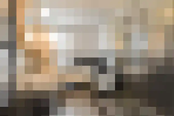 Grooten Sloot 17 Bergschenhoek thumbnail 17