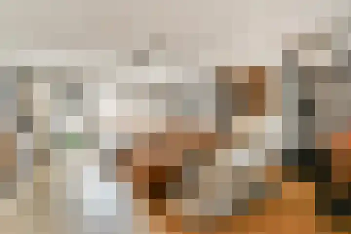 Grooten Sloot 17 Bergschenhoek thumbnail 7