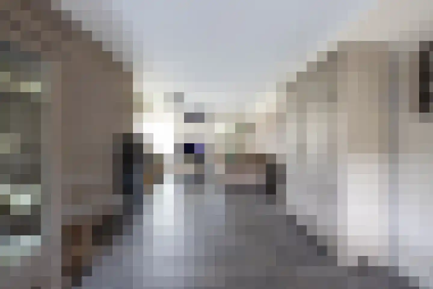 Grooten Sloot 29 Bergschenhoek thumbnail 14