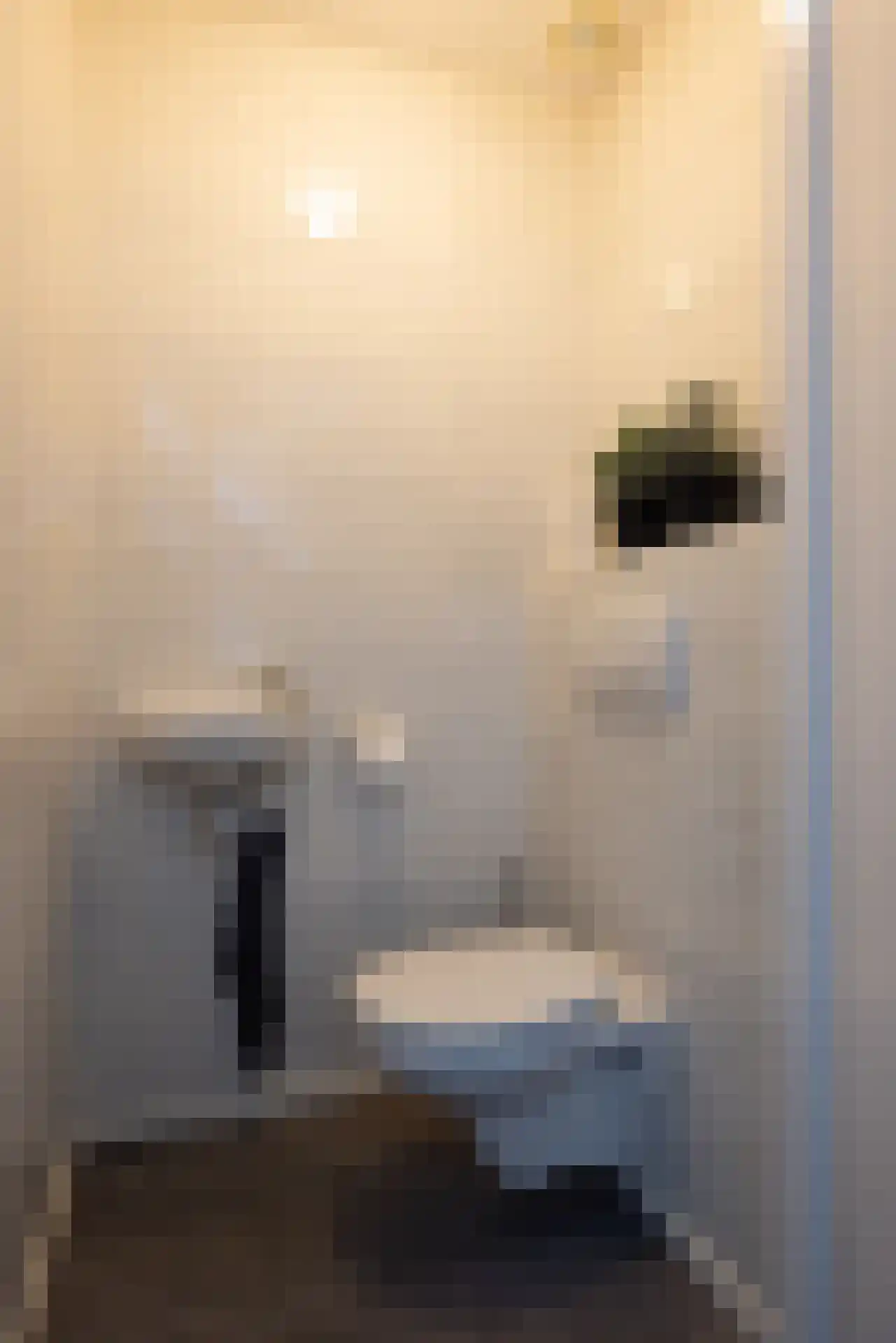 Grooten Sloot 29 Bergschenhoek thumbnail 15