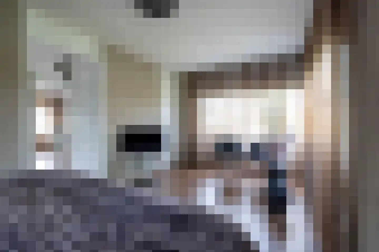 Grooten Sloot 29 Bergschenhoek thumbnail 16