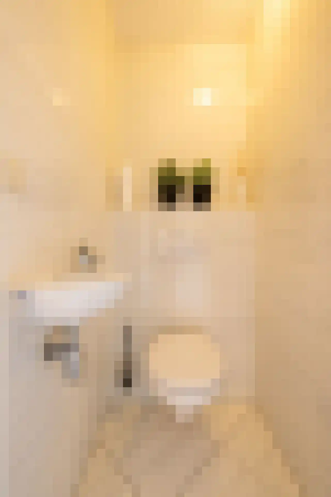 Grooten Sloot 29 Bergschenhoek thumbnail 19