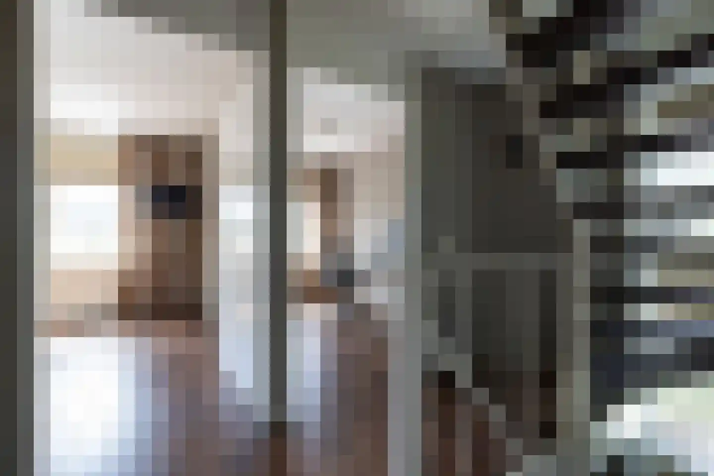 Grooten Sloot 29 Bergschenhoek thumbnail 20