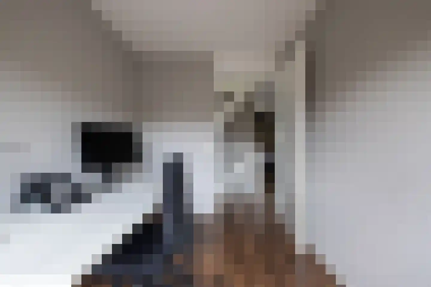 Grooten Sloot 29 Bergschenhoek thumbnail 21