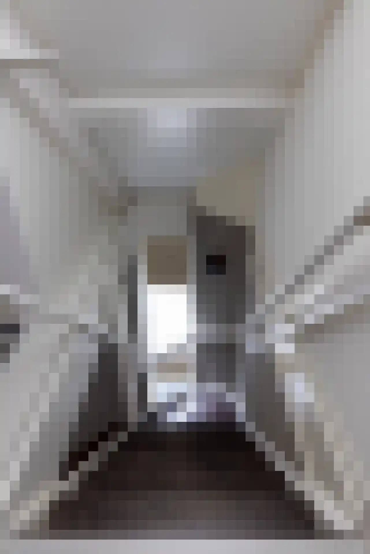 Grooten Sloot 29 Bergschenhoek thumbnail 28