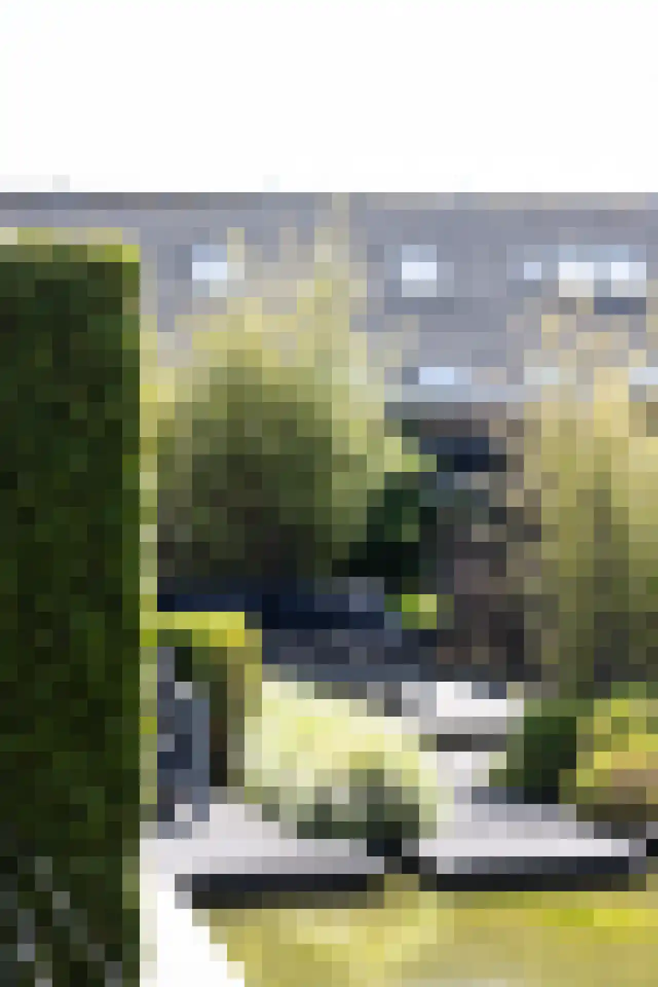 Grooten Sloot 29 Bergschenhoek thumbnail 35