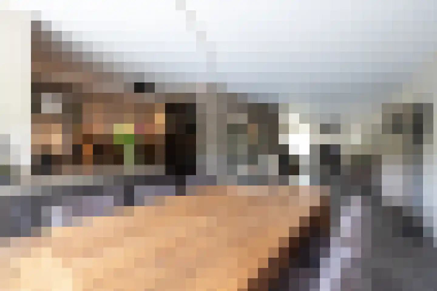 Grooten Sloot 29 Bergschenhoek thumbnail 5