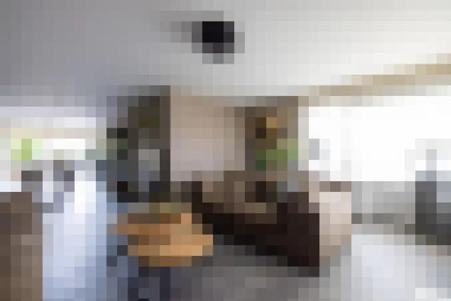 Grooten Sloot 29 Bergschenhoek thumbnail 8