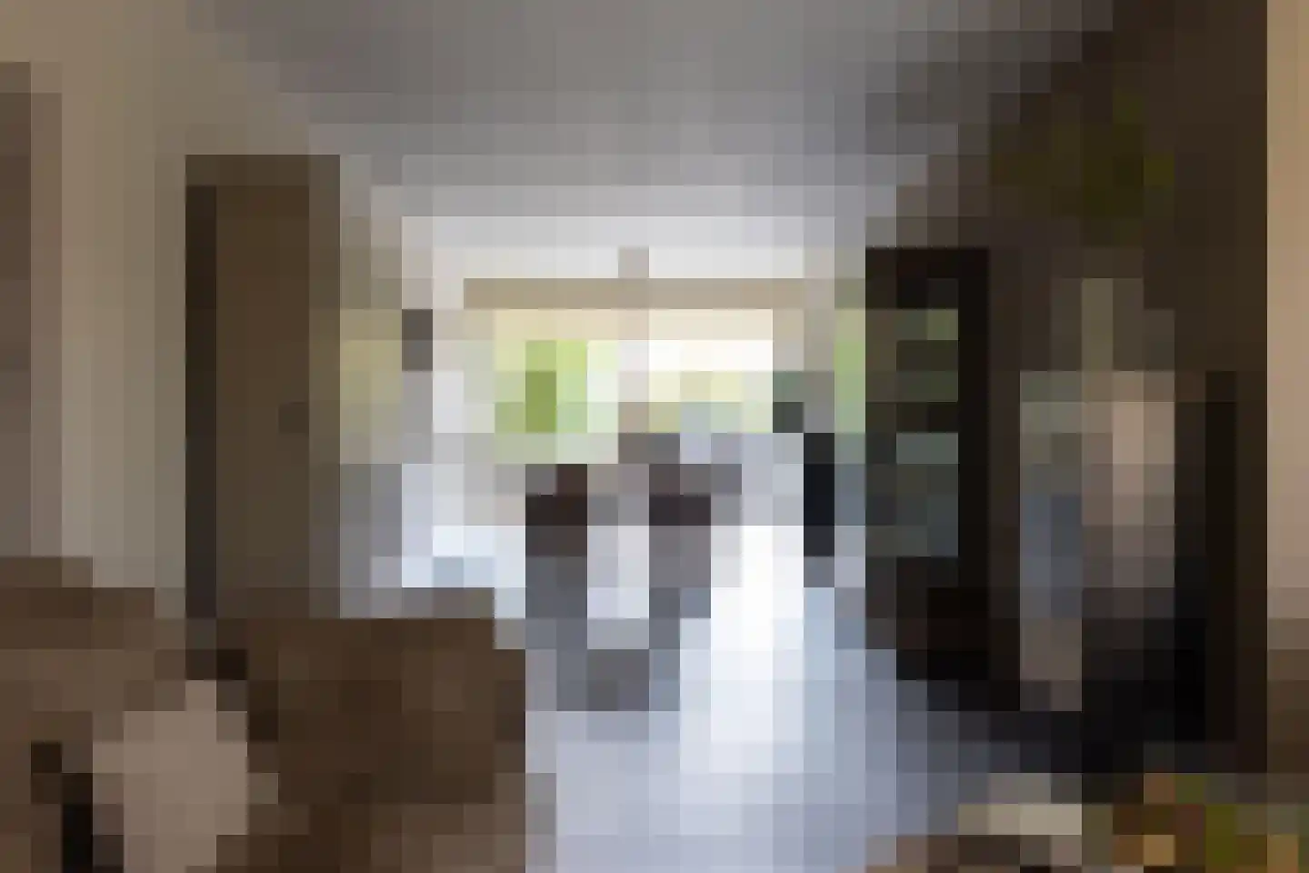 Grooten Sloot 29 Bergschenhoek thumbnail 9